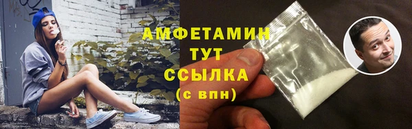 прущие грибы Новый Уренгой