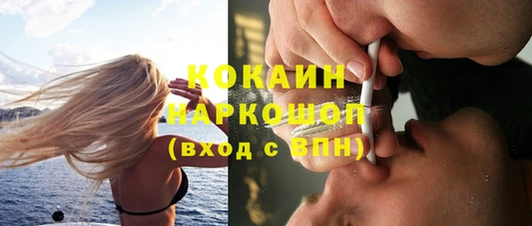 дмт Лиски