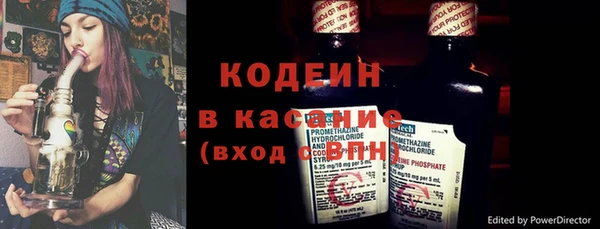 винт Липки