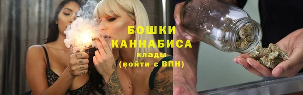 дмт Лиски