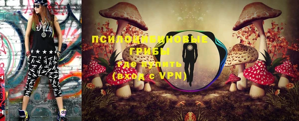 шишки Краснотурьинск
