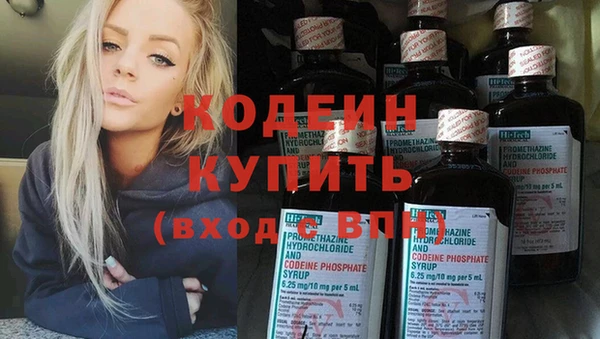 крисы Корсаков