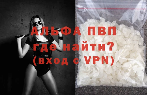 крисы Корсаков